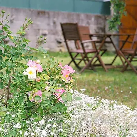Tilia Hostel *