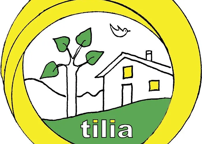 Hostel Tilia Huos